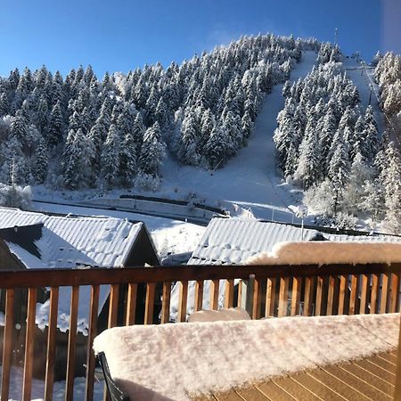 Appartement Aux Pieds Des Pistes De Ski Laveissiere Екстер'єр фото