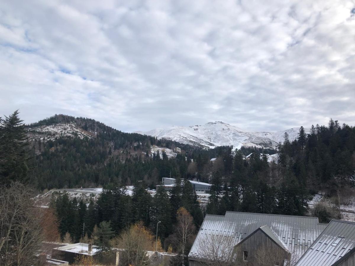 Appartement Aux Pieds Des Pistes De Ski Laveissiere Екстер'єр фото
