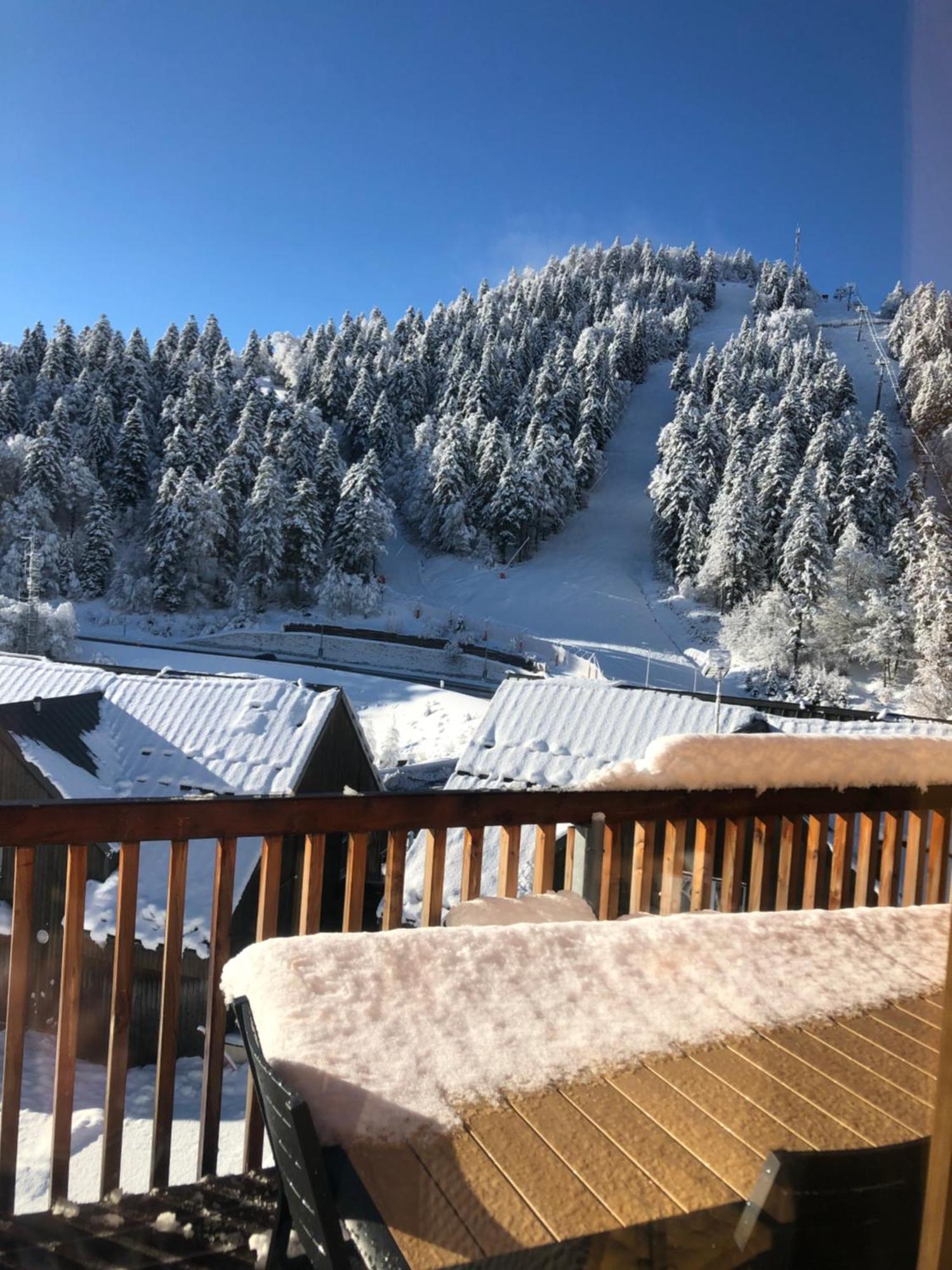 Appartement Aux Pieds Des Pistes De Ski Laveissiere Екстер'єр фото